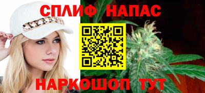 МДПВ Партизанск