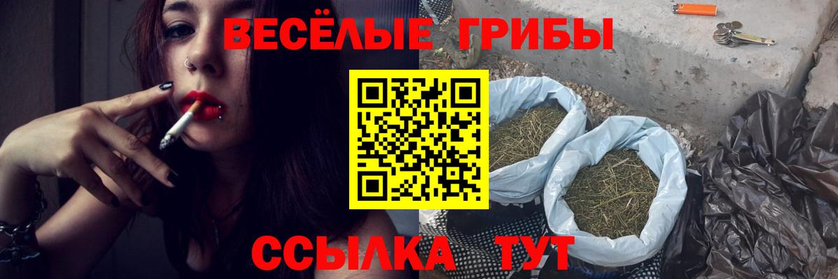 Галлюциногенные грибы Cubensis Рассказово